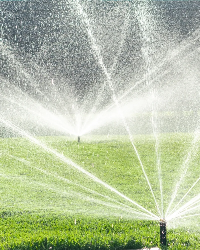 Rasensprenger bei der Gartenbewässerung mit Wasser aus dem eigenen Brunnen